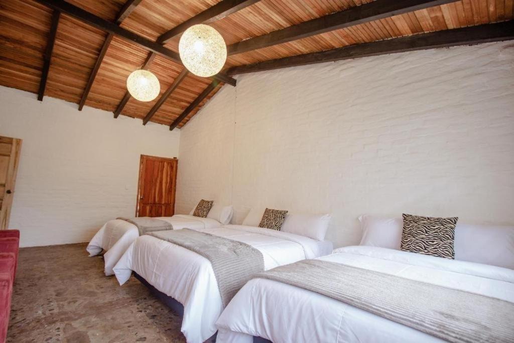 לינה וארוחת בוקר באניוס Rustic Quinta La Aurora מראה חיצוני תמונה