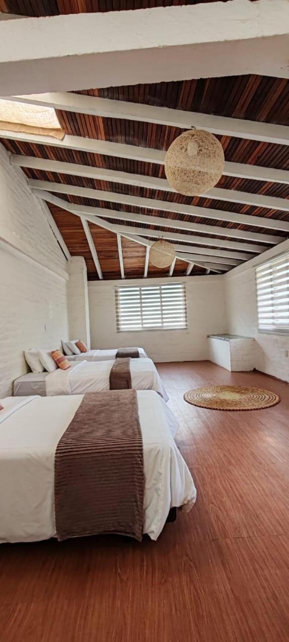 לינה וארוחת בוקר באניוס Rustic Quinta La Aurora מראה חיצוני תמונה
